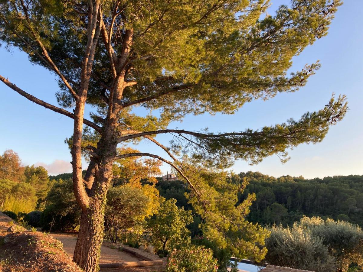 Castel'Lodge Le Beausset Eksteriør bilde